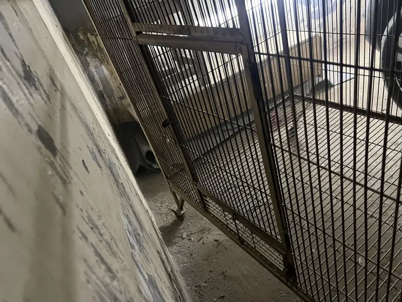 Parrots cage — photo 2