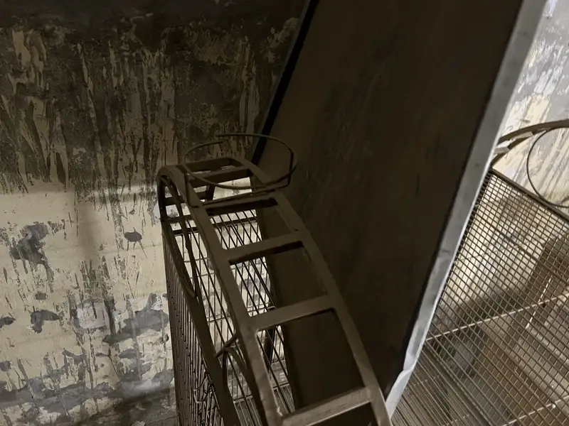 Parrots cage — photo 4