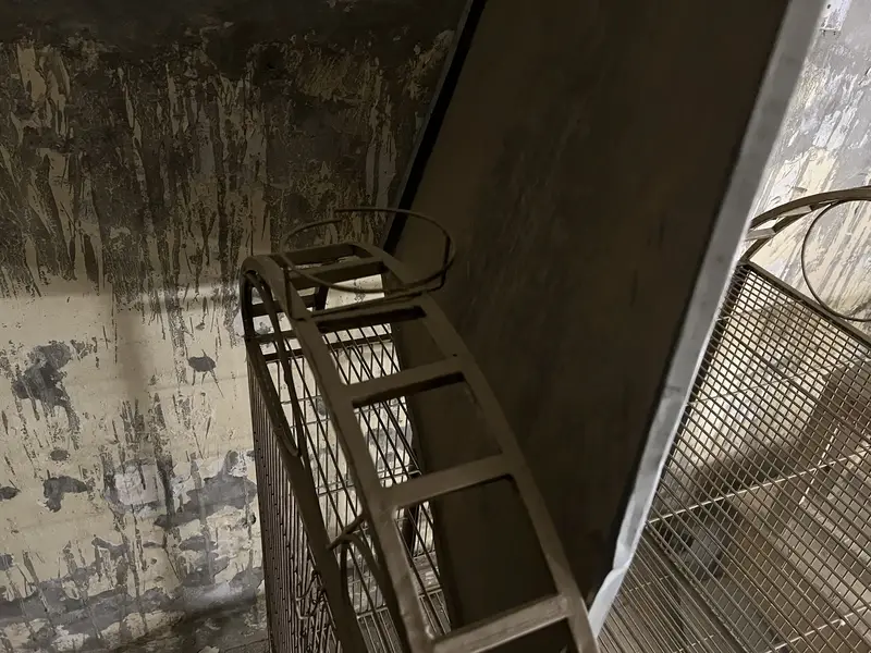 Parrots cage — photo 5