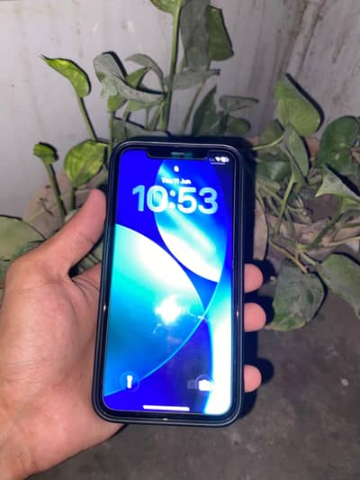 Apple iPhone 11