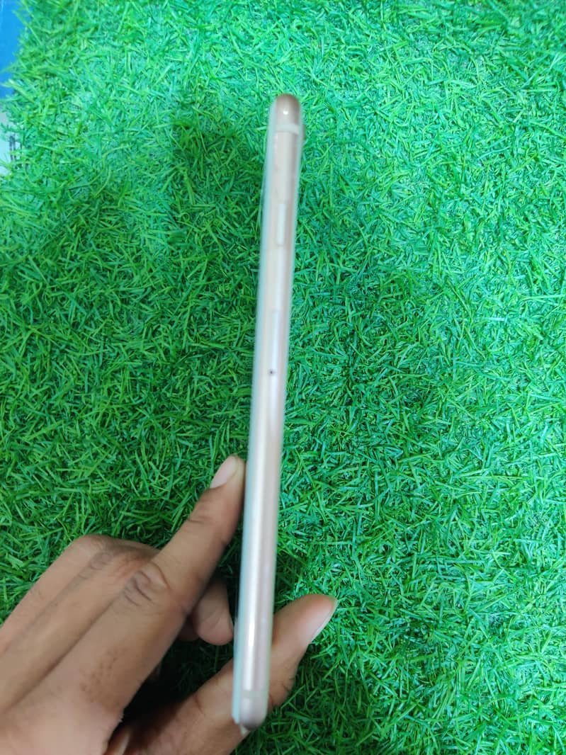 Apple iPhone 8 plus 3