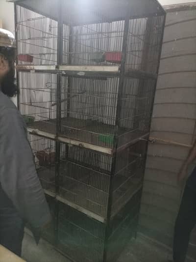 Bird iron cage