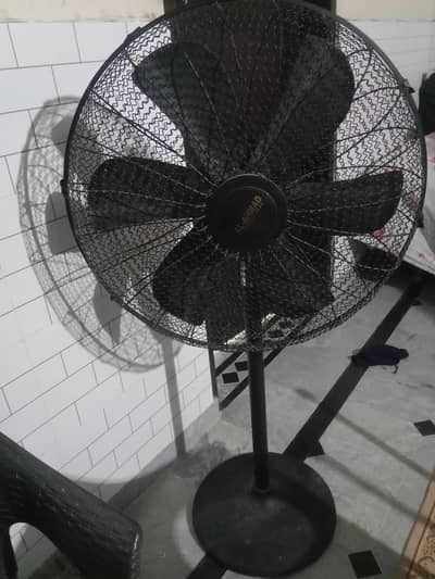 Al Ahmed fans