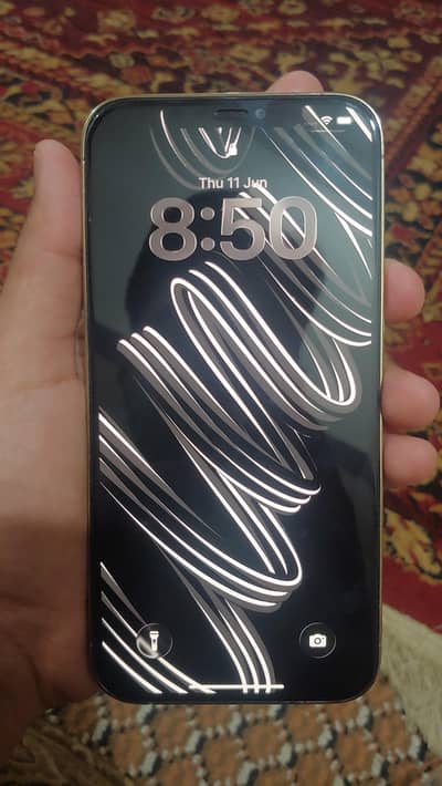 Apple iPhone 12 Pro Max