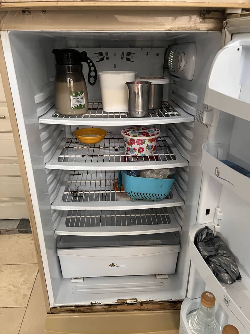 PEL Fridge 1