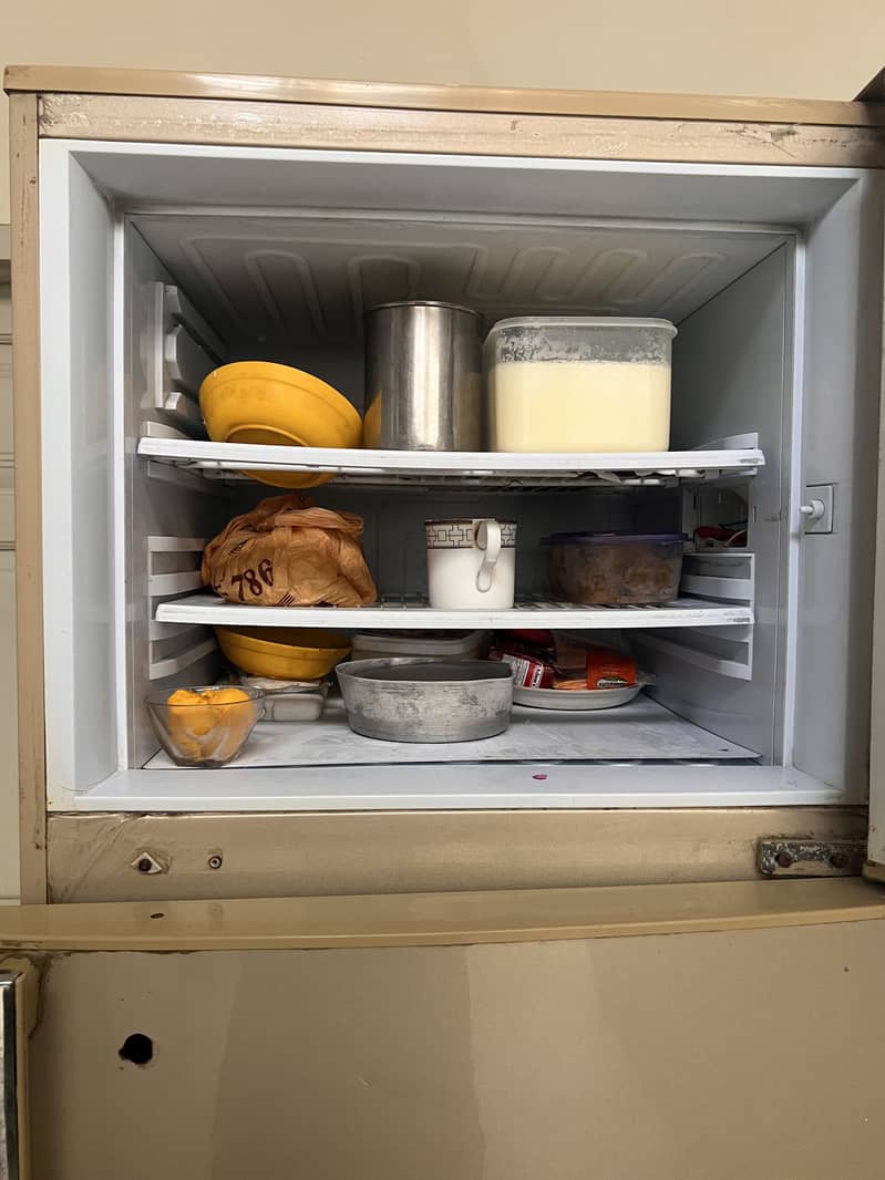 PEL Fridge 3