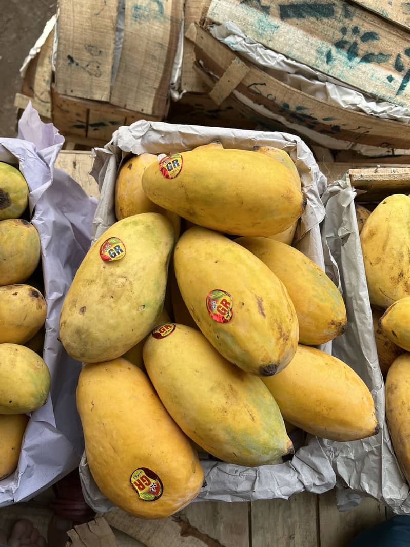 Mangoes 2