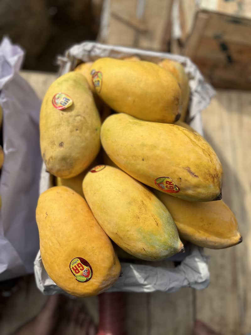 Mangoes 3