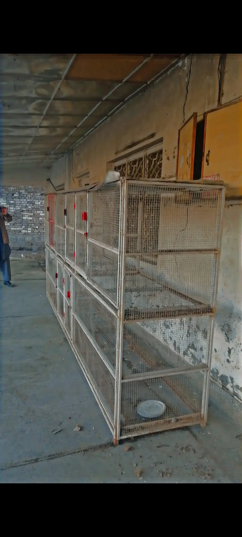 iron cage for birds — photo 3