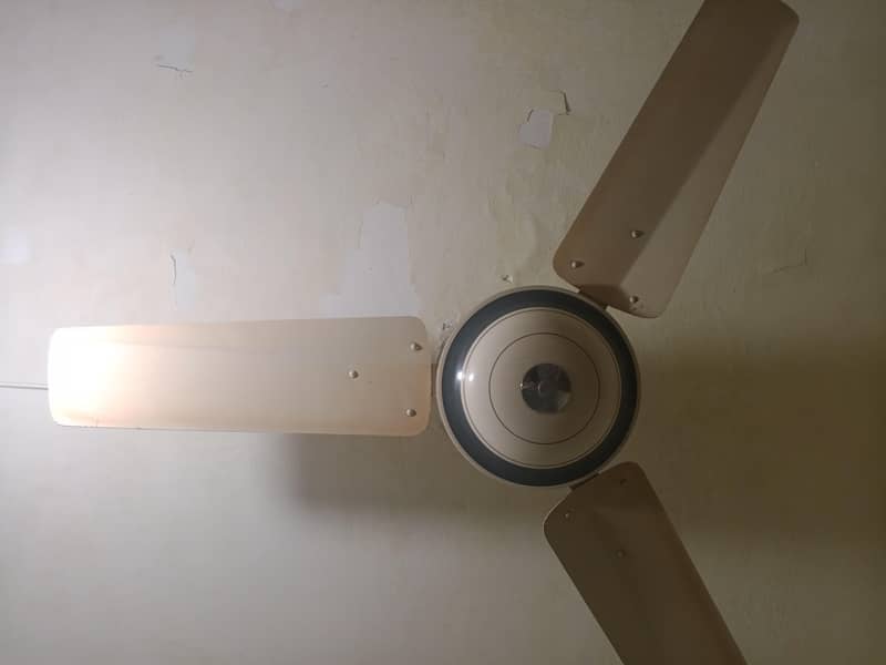 phanka 1