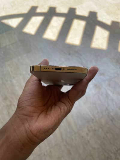 Apple iPhone 12 Pro
