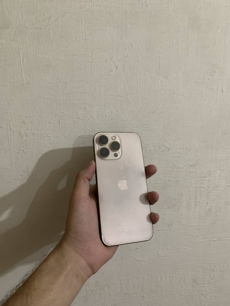 Apple iPhone 16 Pro Max 1