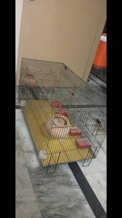 Spacious Bird Cage – Perfect for Budgies & Lovebirds