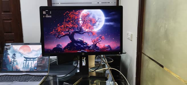 Dell and HP monitor
