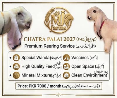 CHATRA PALAI 2027