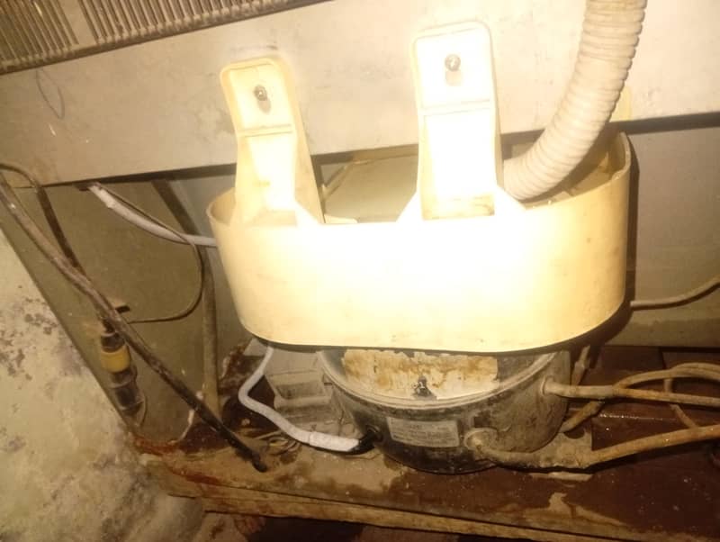 haier medium large 18