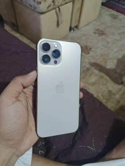 Apple iPhone 13 Pro Max