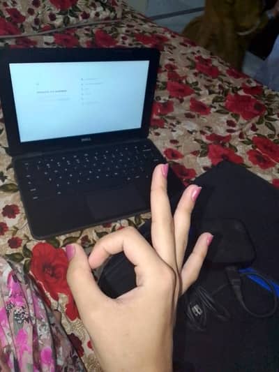 Dell Chromebook 3180/3100
