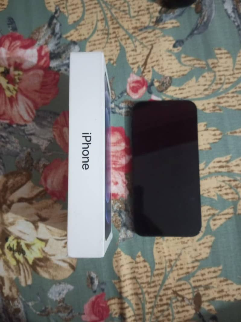 Apple iPhone 12 1