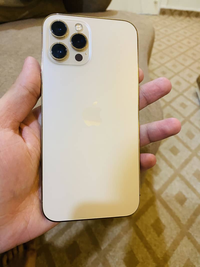 Apple iPhone 12 Pro Max 0