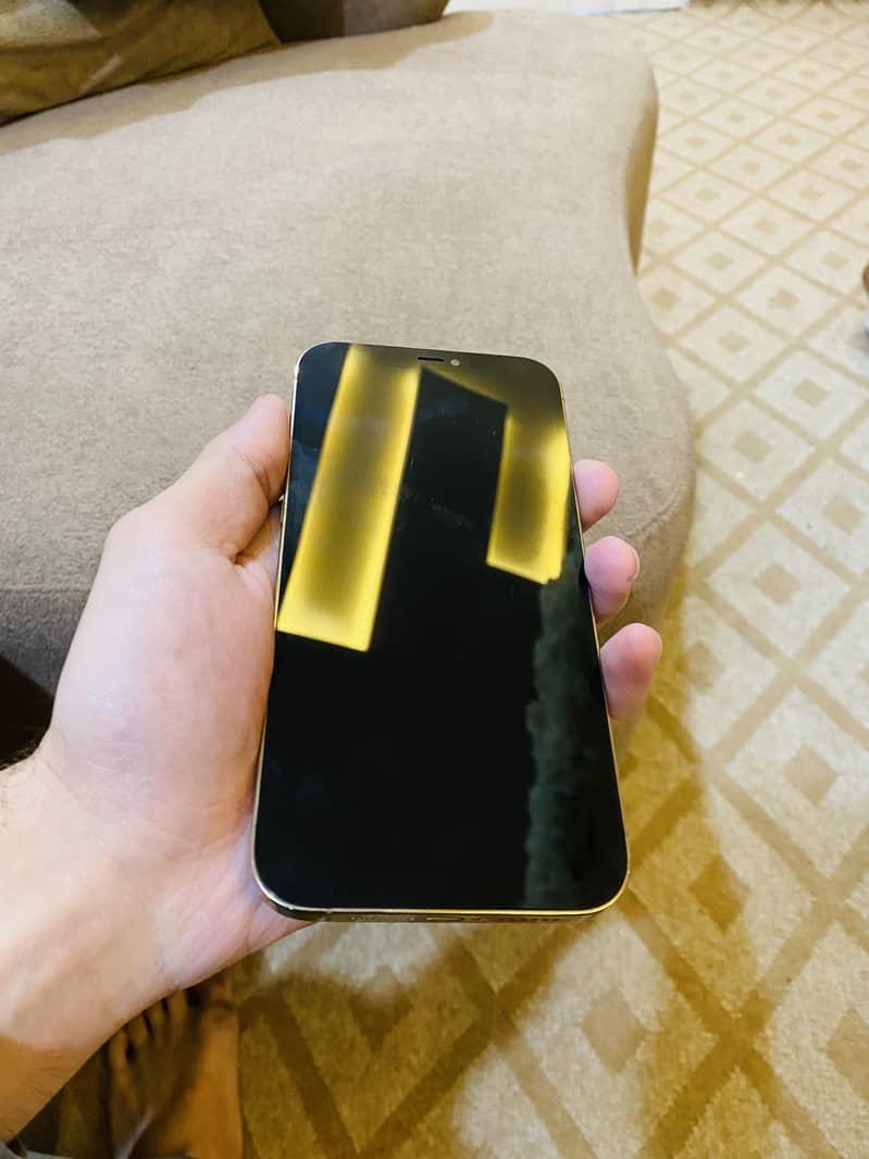 Apple iPhone 12 Pro Max 1