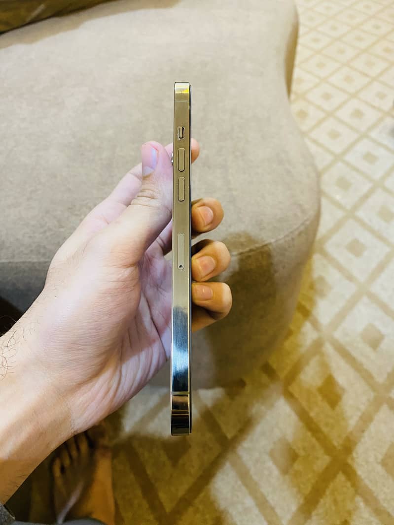 Apple iPhone 12 Pro Max 2