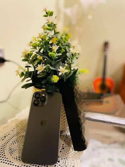Apple iPhone 12 Pro Max