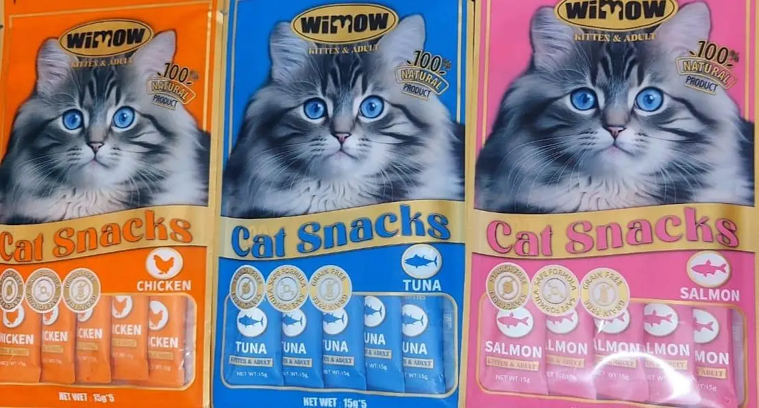 Birds and Cats feed — photo 3