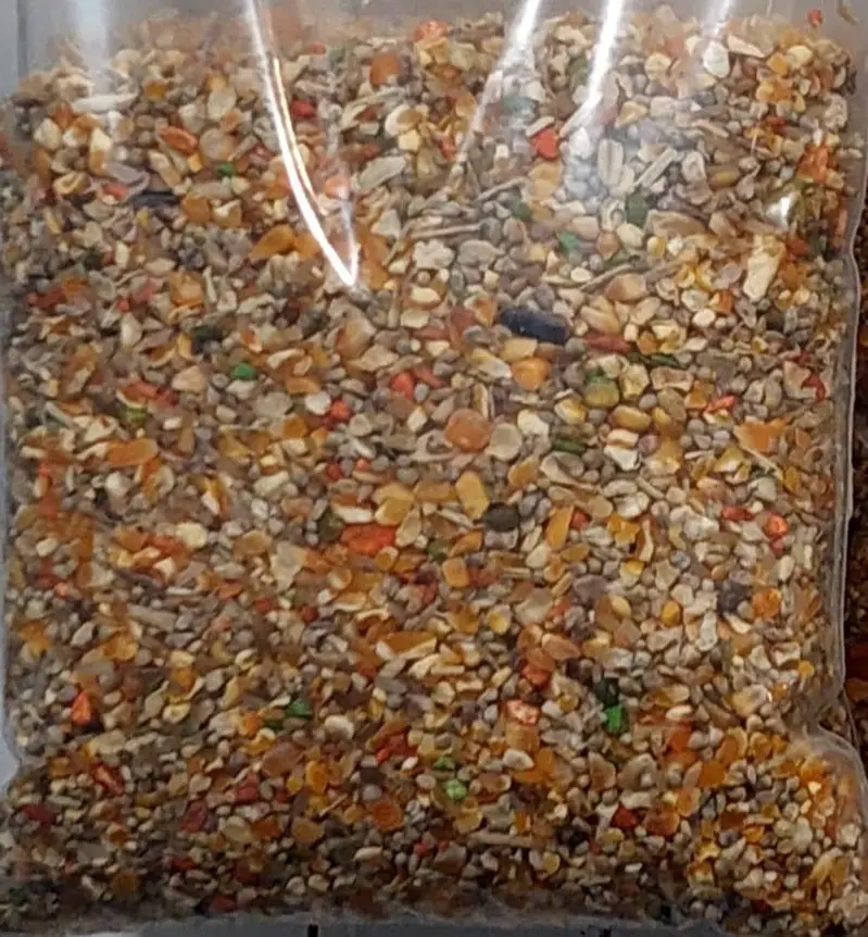 Birds and Cats feed — photo 5