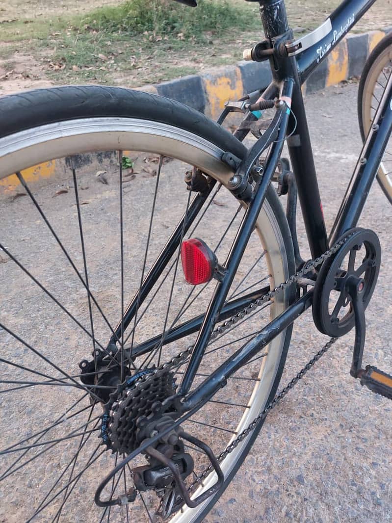 Imported Lamborghini Cycle 6