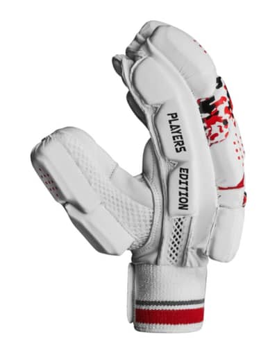 Professional brand new cricket kit