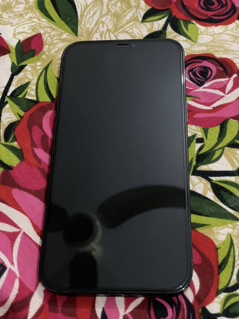 IPhone 12 Pro Max 2