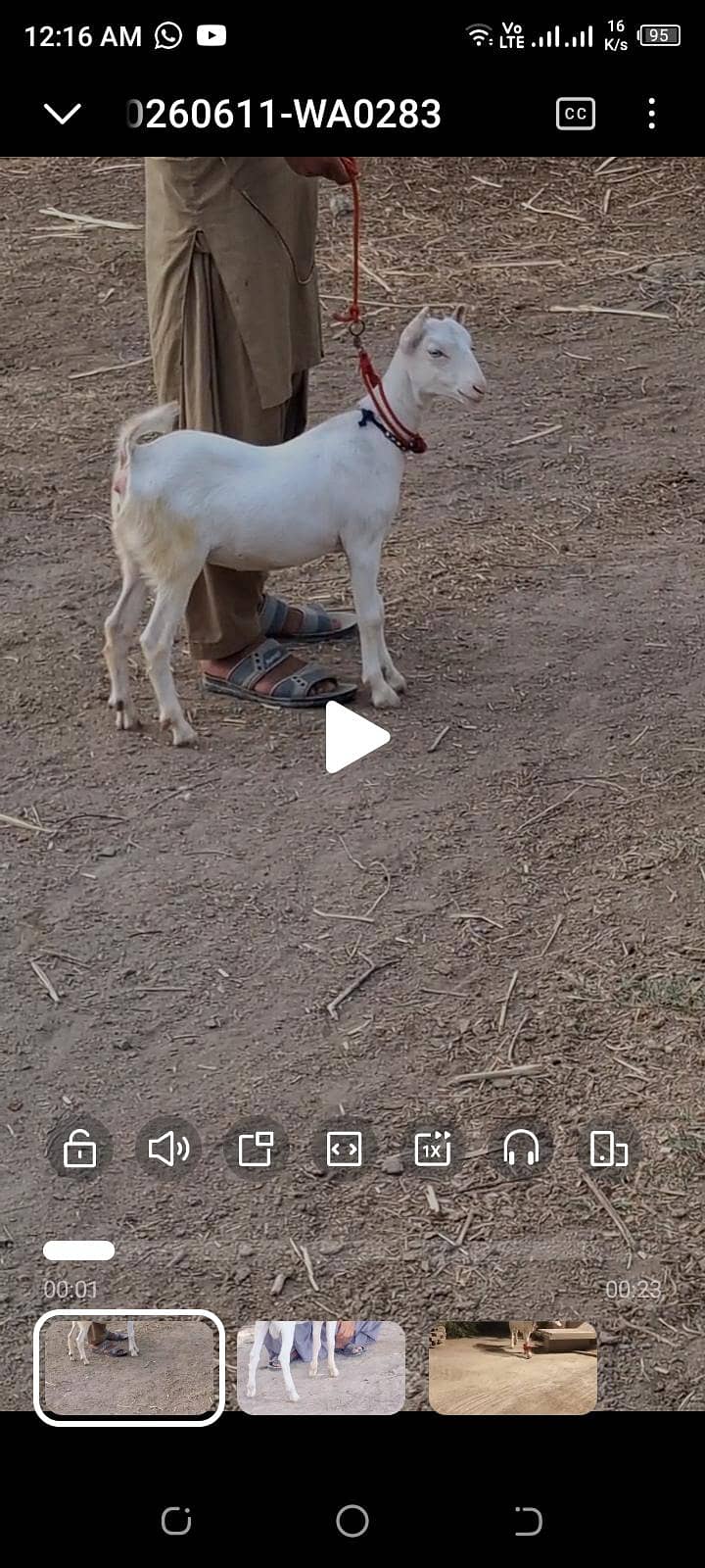 bakra 2