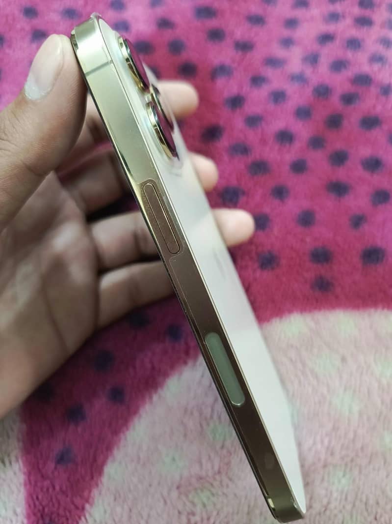 Apple iPhone 13 Pro 2