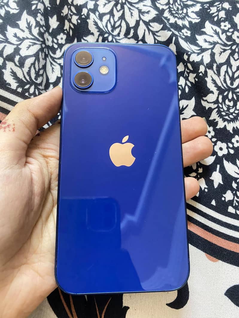 Apple iPhone 12 1