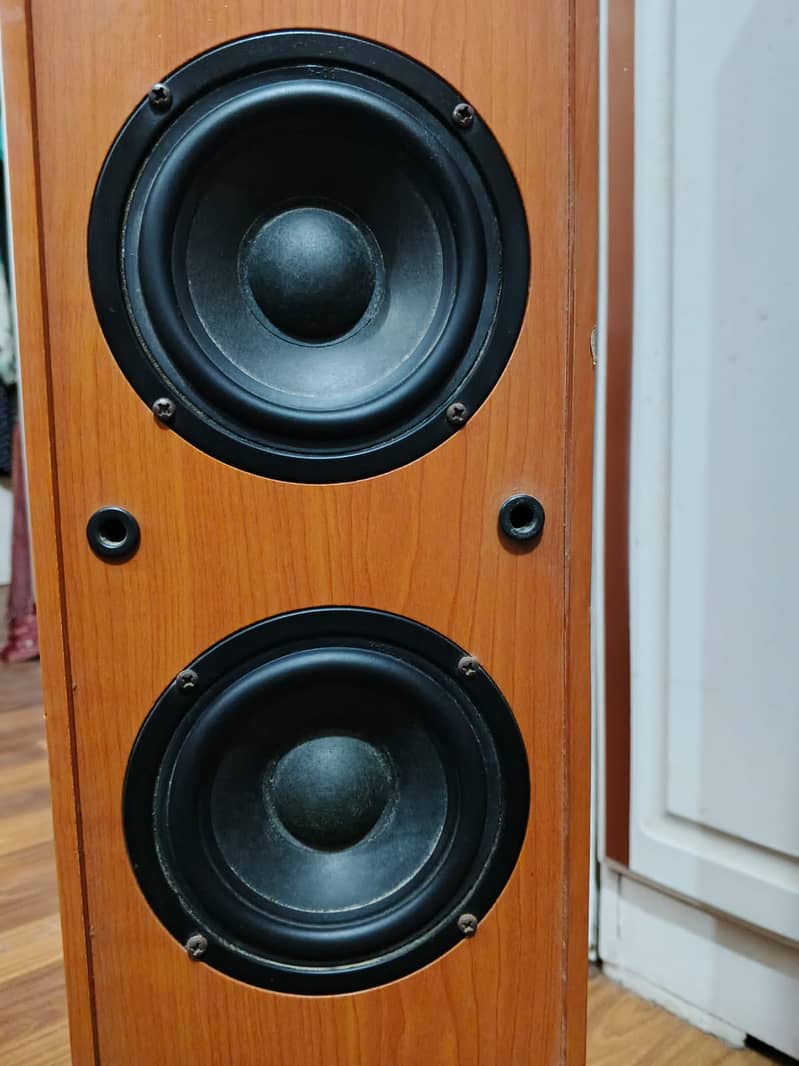 AUDIONIC RB-10 1