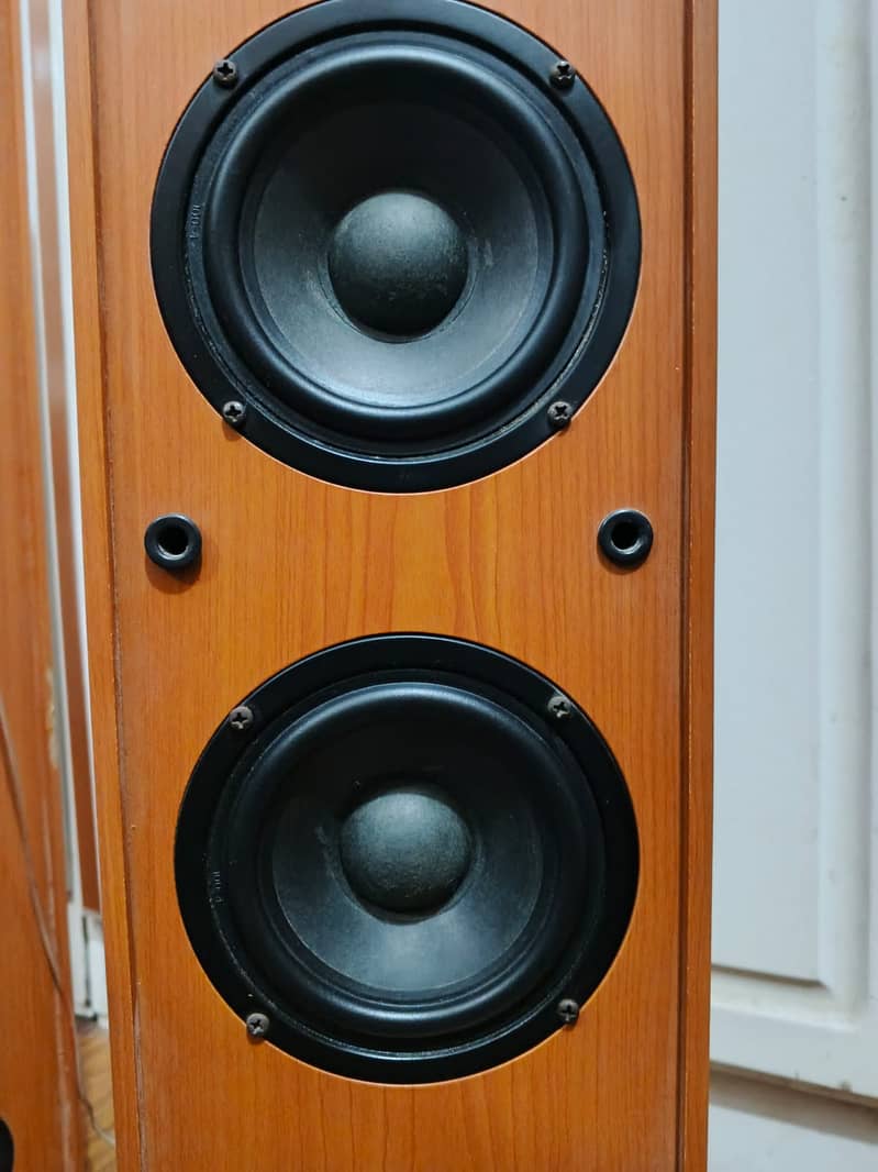 AUDIONIC RB-10 4