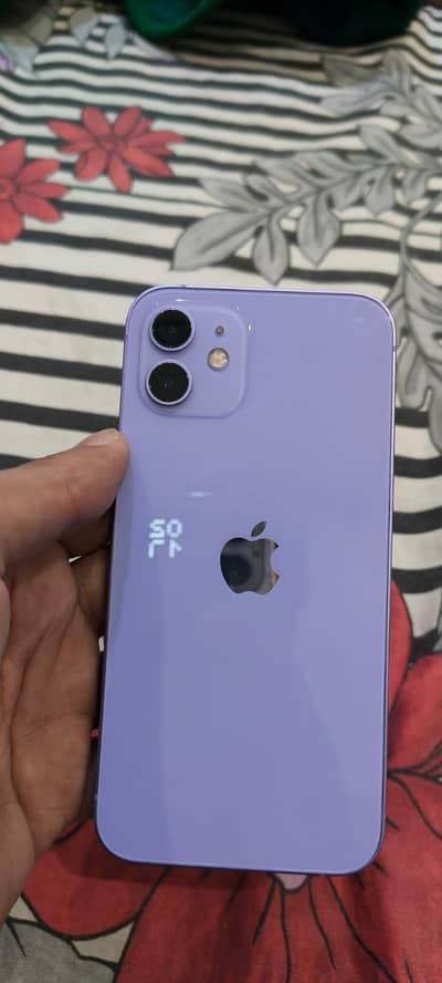 Apple iPhone 12