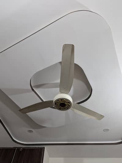 Full Size Fan 1 year used