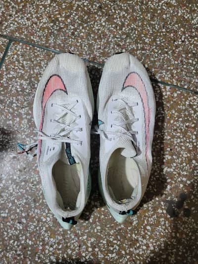 sport shoes