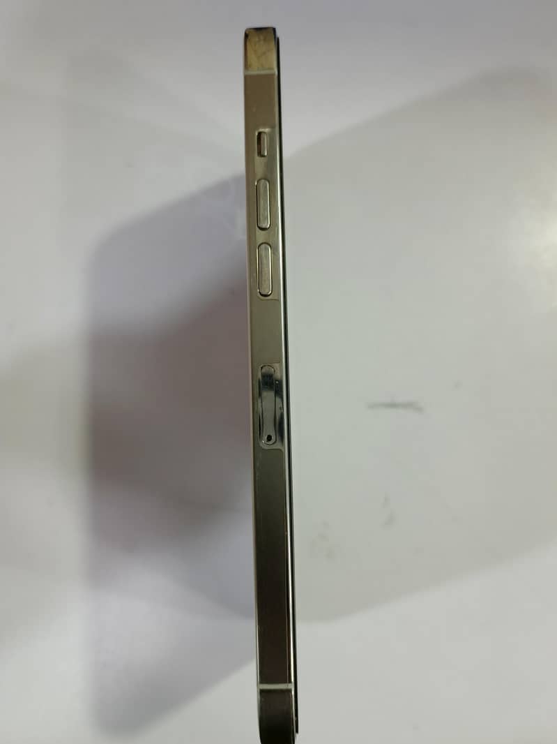 iPhone 12 Pro Max 0