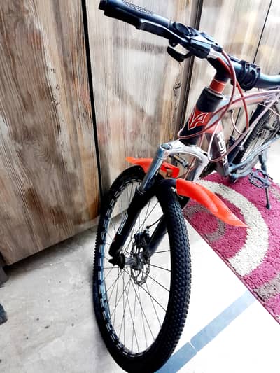 Bicycle Mountain bicycle aster L 600