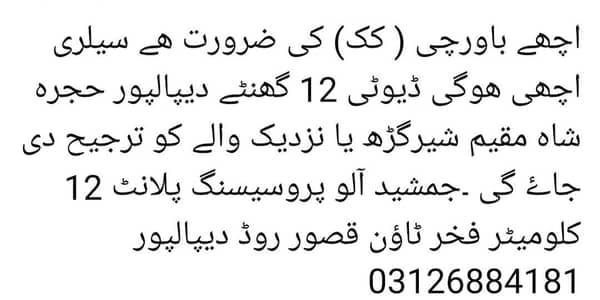 Cook job for potato factory