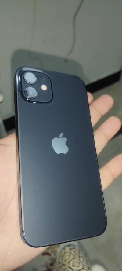Apple iPhone 12