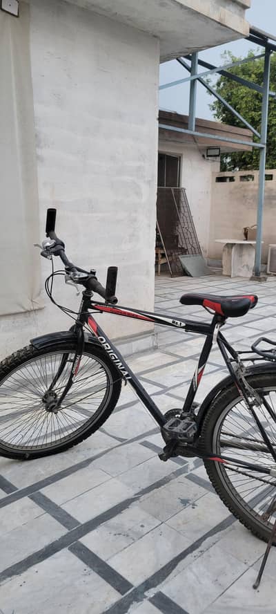 Original bicycle 21'