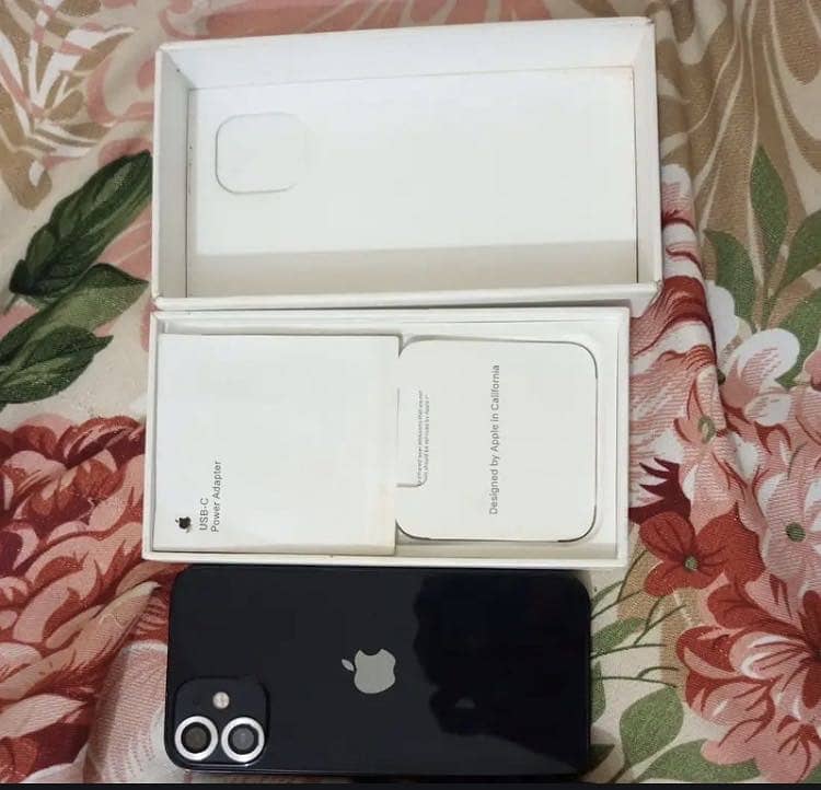 Apple iPhone 12 mini 1