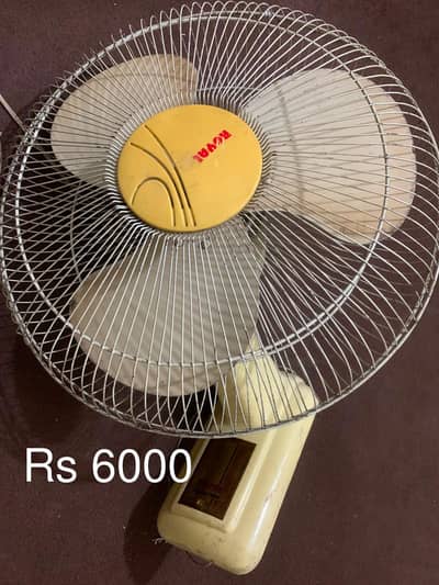 Ceiling Fans