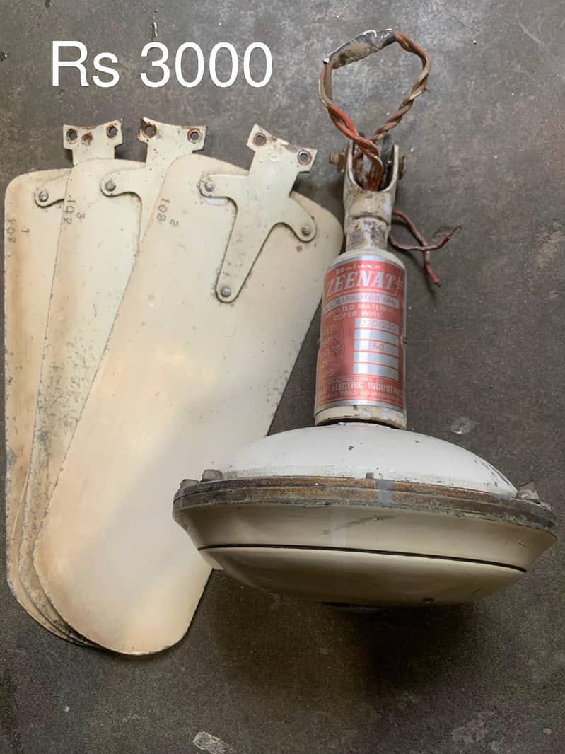 Ceiling Fans 5