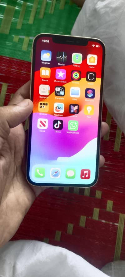 12pro