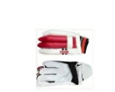 cricket gloves for 14 years old